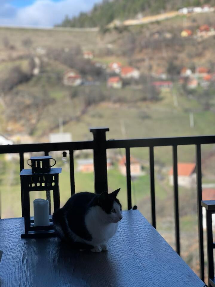 Vila Maslacak Popovići Dış mekan fotoğraf